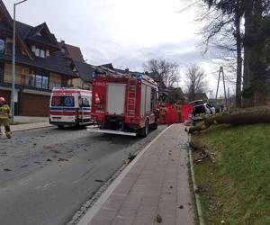 Tragedia w Zakopanem. Drzewo spadło na samochód. Młoda kobieta nie żyje