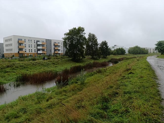 Niż genueński Borys. Wrocław walczy z wielką wodą