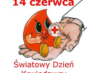 Krwiodawcy świętują