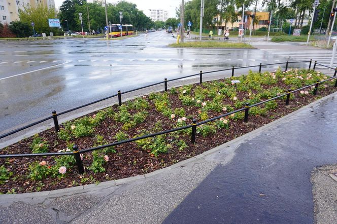 Kontrowersyjny skwerek na Ursynowie latem 2025