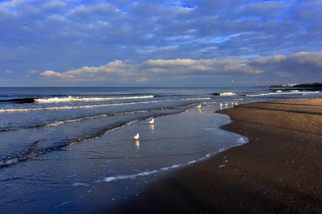 Plaża w Kołobrzegu 