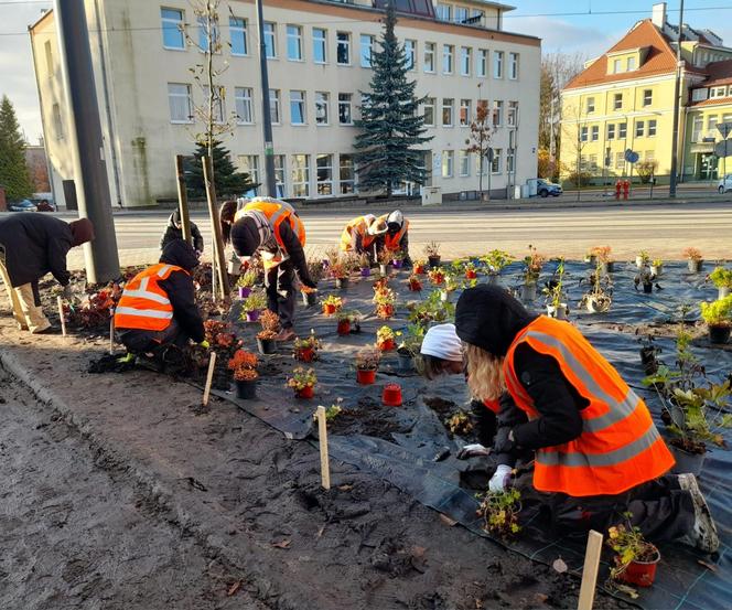 Olsztyn pięknieje. Powstaje kolejna zielona przestrzeń [ZDJĘCIA]