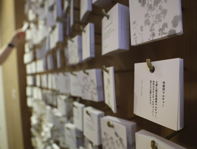 Wielki sukces na Expo w Osace. Pawilon Polski dowiedziało już pół miliona osób 