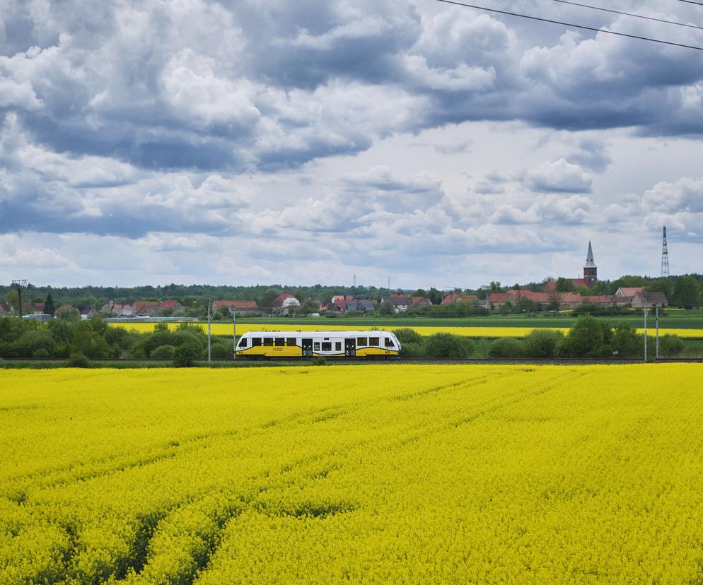 Tańsze podróże kolejąpo Dolnym Śląsku. Sprawdź promocje 