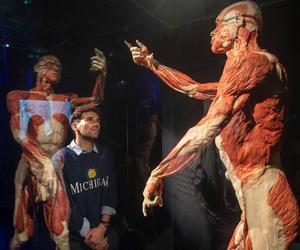 Kontrowersyjna wystawa Body Worlds wraca do Katowic. Zobaczymy ją w galerii Szyb Wilson