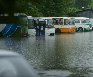 Burze i ulewy w całej Polsce! Tam było najgorzej. Drzewo runęło na autobus!