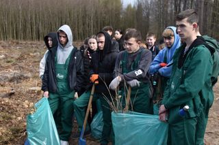 Las Pamięci w Marchwaczu