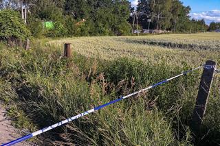 W tym miejscu psy rozszarpały 7-letnią Natalkę