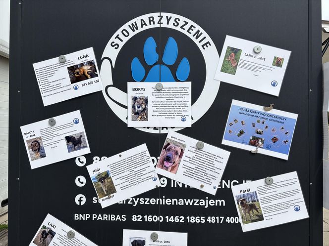 6. odsłona targów Olsztyn w stylu vintage