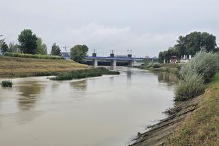 Wysoka woda na Wisłoku po ulewach