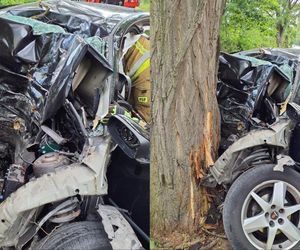 Jego auto wyglądało jak zgnieciona puszka! Przerażający wypadek 68-latka. Nie miał żadnych szans [ZDJĘCIA]