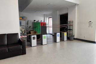 Łoś wskoczył przez okno szkoły. Jedna osoba została poszkodowana