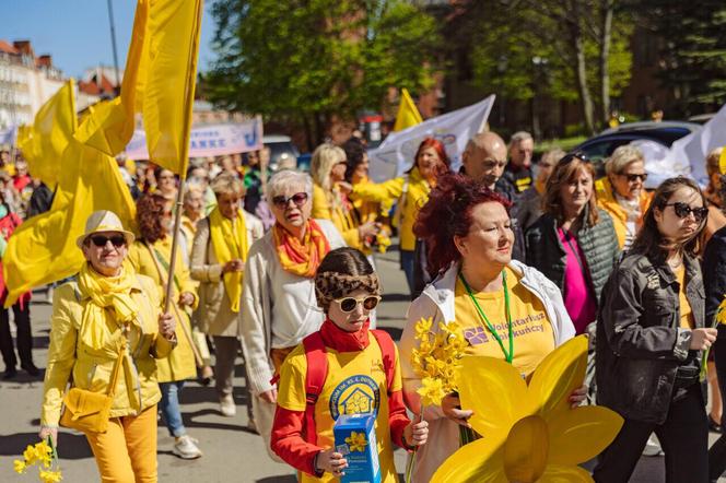 Za nami barwna Żonkilowa Parada. Tak wyglądał Finał Pól Nadziei na Pomorzu 2024