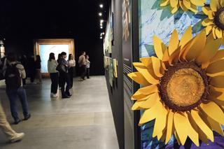 Niesamowita Wystawa Van Gogh w Gdańsku. Przepiękne wydarzenie multimedialne. Zobaczcie zdjęcia i film