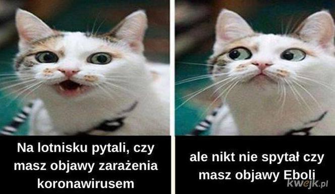 Kronawirus - MEMY, niektórzy żartują z choroby
