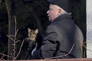 Tajemnicza nowoczesna relacja Jarosława Kaczyńskiego z przepiękną aktorką. To nie jest miłość! 