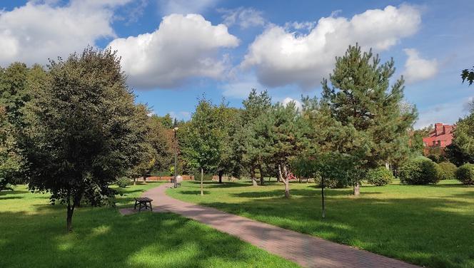 Tu psy będą mogły się wyszaleć - PSI PARK powstanie w Ostrzeszowie 