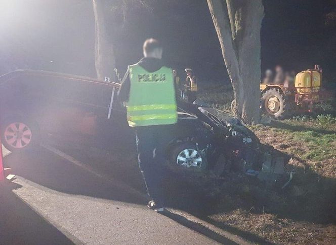 Nie żyje 63-letnia kobieta, 19-latek trafił do szpitala. Tragedia na DK 63 pod Łukowem
