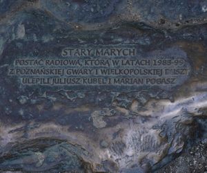 Pomnik Starego Marycha na ulicy Półwiejskiej 