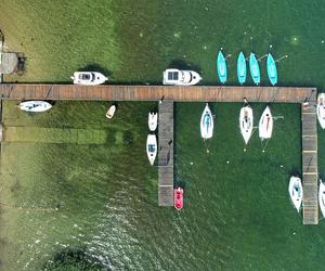 Kormoran nad jeziorem Niesłysz w Lubuskiem zaprasza turystów. Zobacz na te przepiękne zdjęcia 
