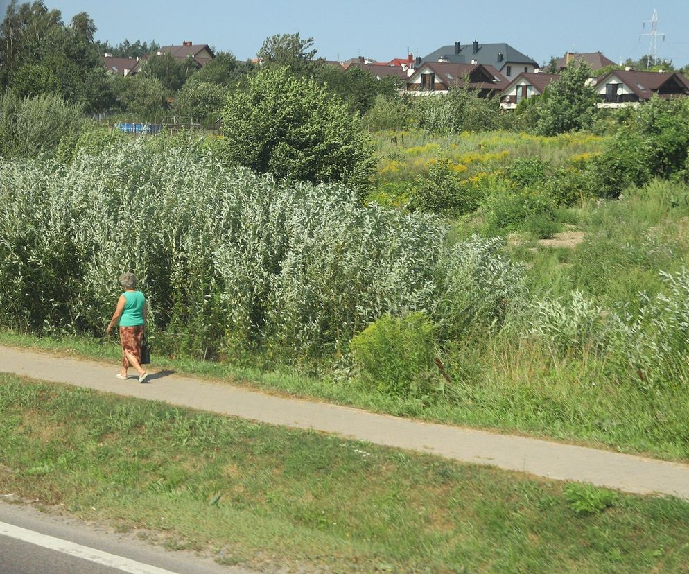 W Polsce powstaną nowe gminy. Jak zmieni się mapa kraju w 2025 roku?