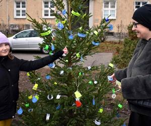 Pod Komendą Miejską Policji w Olsztynie stanęła oryginalna choinka. Każdy może ją rozebrać [ZDJĘCIA]