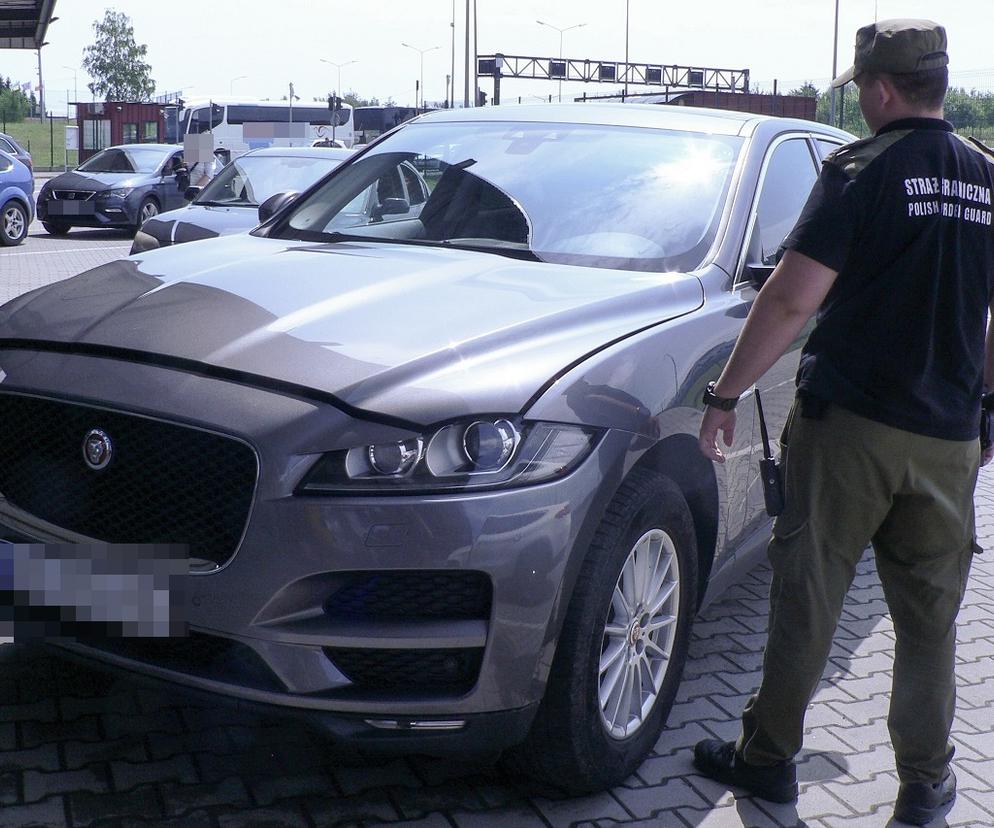  Jaguara skradziony parę lat temu we Włoszech odnaleziony w Medyce