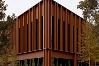 Starostwo Powiatowe w Toruniu. Projekt: Toprojekt z Rybnika