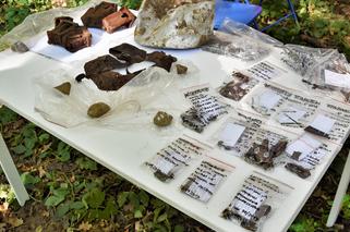 Archeolodzy odkryli kolejne szczątki na Westerplatte! Czy należały do żołnierza? 