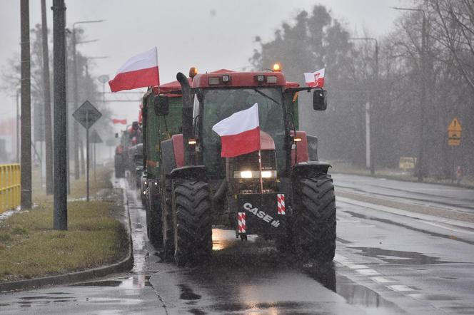 Protest rolników w Toruniu i okolicach. Zdjęcia z piątku - 9 lutego 2024