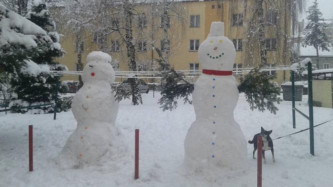 Śnieżne bałwanki na Podkarpaciu: Zobacz prace naszych Czytelników