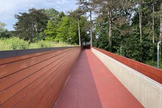 Budowa nowej trasy spacerowej w Starym Sączu 