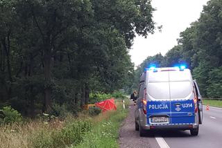 Śmiertelny wypadek na drodze Leszno-Osieczna. Nie żyją dwie osoby 