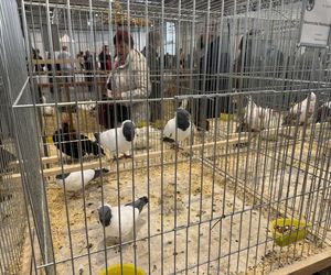 ZooPark w Lublinie. Dzień drugi