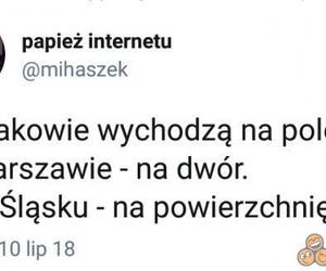 Memy o Śląsku i Ślązakach