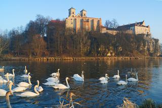 Kraków