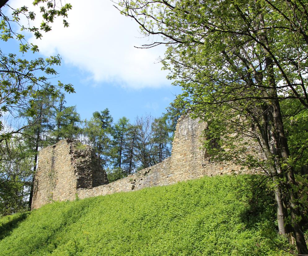 Zamek w Lanckoronie