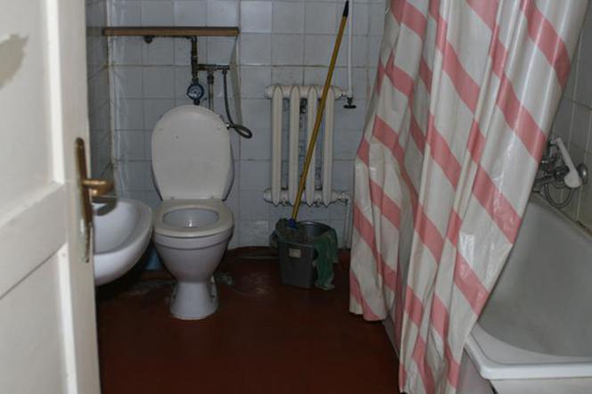 Zdjęcie 6454