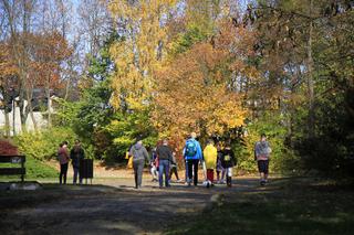 Złota polska jesień w Muzeum Wsi Lubelskiej