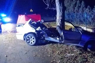 Tragedia w Brzeźnie. 24-letni kierowca BMW zginął po uderzeniu w drzewo