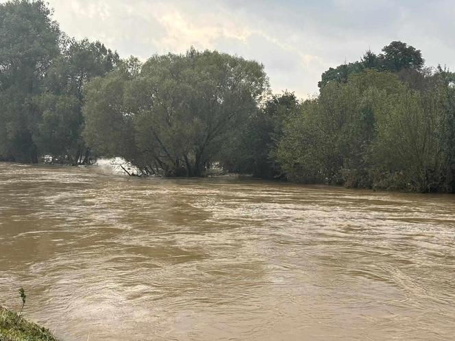 Byli pierwsi na miejscu. Ostrzeszowscy eksploratorzy z pomocą dla powodzian [ZDJĘCIA]