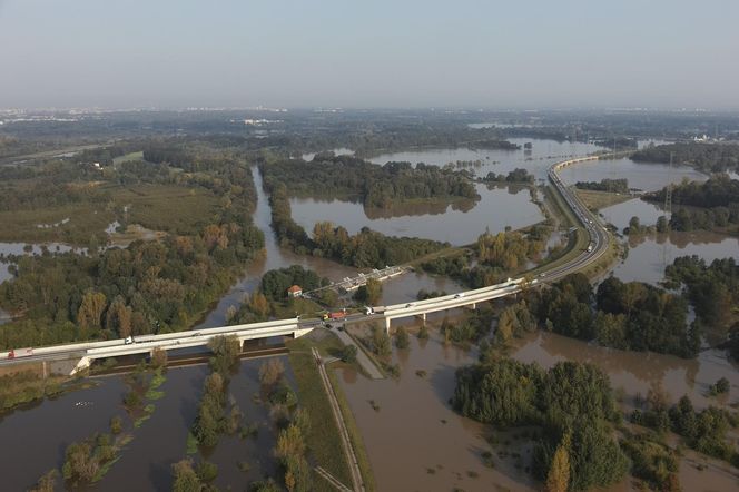 Wschodnia Obwodnica Wrocławska – rozlewisko