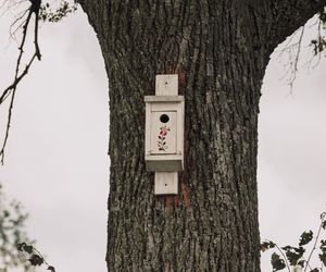 To najpiękniejsza wieś w woj. warmińsko-mazurskim. Zwyciężyła w ważnym konkursie