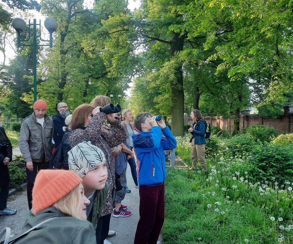 Podglądanie ptaków coraz popularniejsze