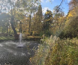 Jesień w Ogrodzie Botanicznym UKW. To ostatnia szansa na spacer wśród złotych liści!