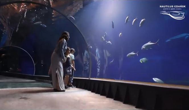 Oceanarium Gdańsk