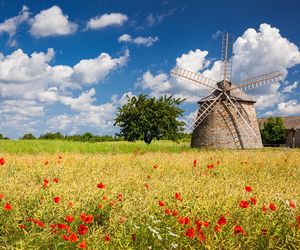 Szwarszowice dawniej  Szwarzischowycze.  Świętokrzyska wioska, której nazwa to nie lada wyzwanie 