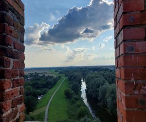 Przez to miasto Kujawsko-Pomorskiem nie da się przejść niezauważonym. Na turystów patrzy ponad 200 par kamiennych oczu. Wszędzie są twarze!