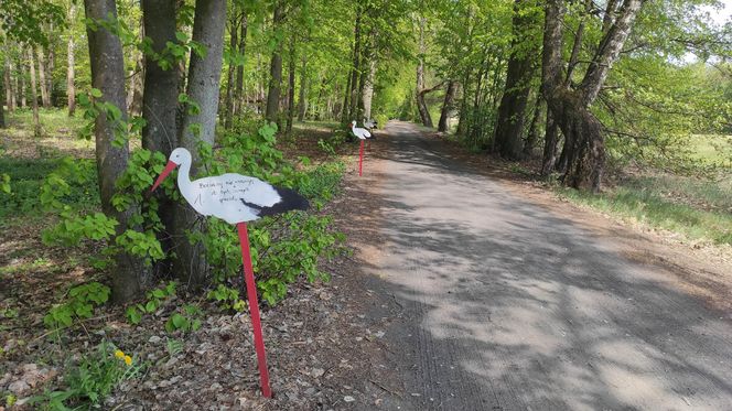 Europejska Wieś Bociania w Pentowie. Unikalne miejsce na Podlasiu