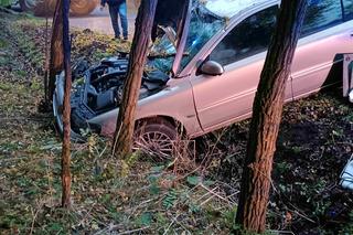 Domanice. Rozbili się na drzewie, gdy jechali na cmentarz. Dwie osoby ranne